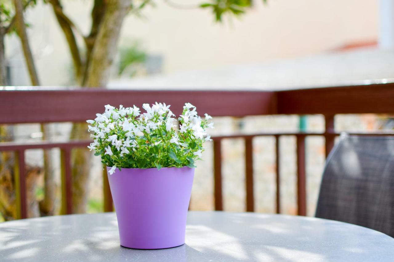PUY Apartment Darinka מראה חיצוני תמונה